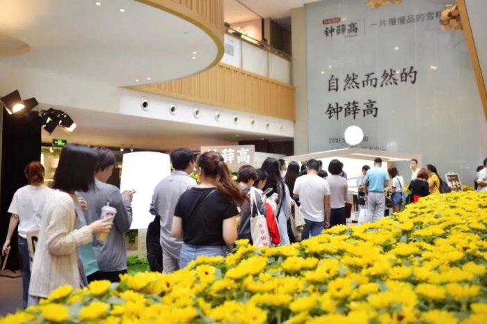 鳥哥筆記,用戶運營,見實,私域流量,增長策略,增長,獲客,品牌,營銷,產品,品牌,用戶增長,用戶運營