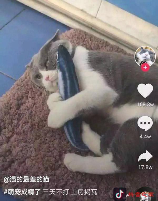 抖音什么內容容易火？這10個大類才是關鍵！