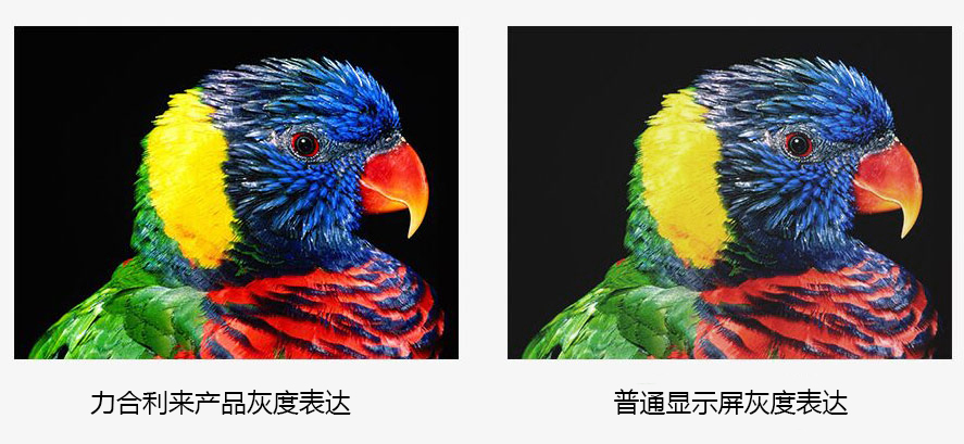 P1.9小間距led顯示屏 P1.9小間距led顯示屏